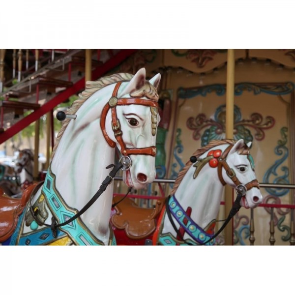 Papel Pintado R11881 Carousel - REBEL WALLS