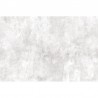 Papel Pintado R15992 Fresco Wall - REBEL WALLS