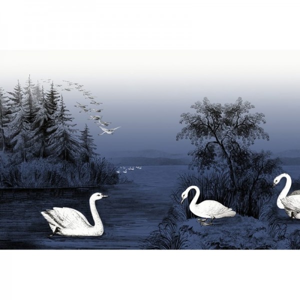Papel Pintado R16222 Swan Lake, Nightfall - REBEL WALLS Papel Pintado R16222 Swan Lake, Nightfall - REBEL WALLS