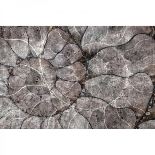 Papel Pintado NAUTILUS GLFO112A - GLAMORA Papel Pintado NAUTILUS GLFO112A - GLAMORA