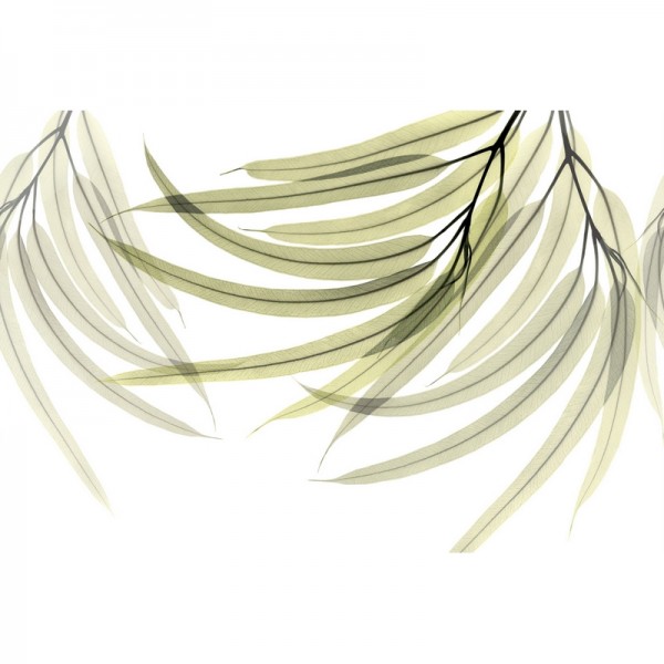 Papel Pintado GREEN FINGERS GL6071B - GLAMORA Papel Pintado GREEN FINGERS GL6071B - GLAMORA
