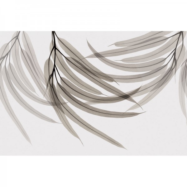 Papel Pintado GREEN FINGERS GL6073A - GLAMORA Papel Pintado GREEN FINGERS GL6073A - GLAMORA