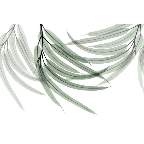 Papel Pintado GREEN FINGERS GL6074A - GLAMORA Papel Pintado GREEN FINGERS GL6074A - GLAMORA