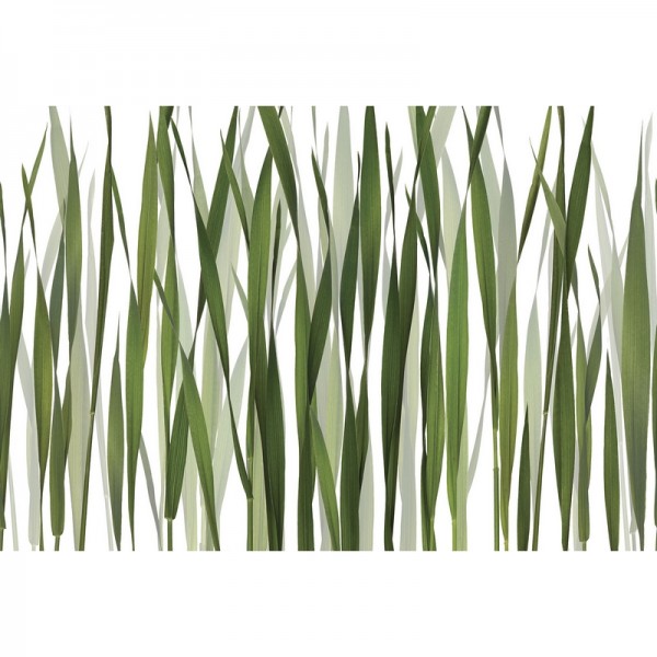 Papel Pintado GREENFIELDS GL2011A - GLAMORA Papel Pintado GREENFIELDS GL2011A - GLAMORA