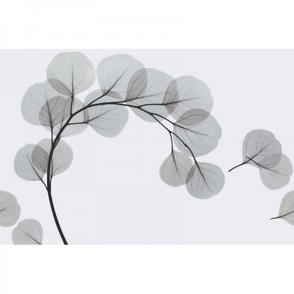 Papel Pintado LIGHT BREEZE GL6082A - GLAMORA Papel Pintado LIGHT BREEZE GL6082A - GLAMORA