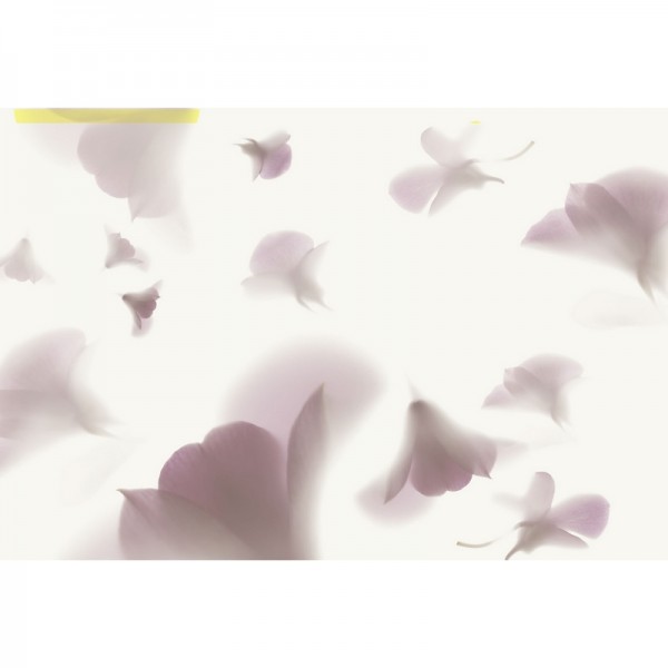 Papel Pintado PINK RHAPSODY GL1064A - GLAMORA Papel Pintado PINK RHAPSODY GL1064A - GLAMORA