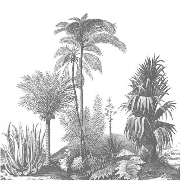 ALOES GREY DOM306-1 ALOES GREY DOM306-1