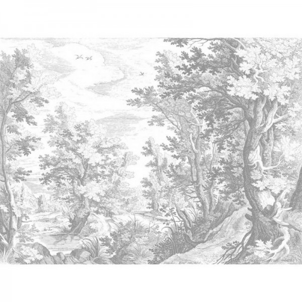 BRUSHWOOD GREY DOM304-1 BRUSHWOOD GREY DOM304-1