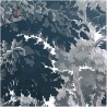DREAM FORES DOM301