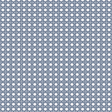 Wicker Screen Print With Raised Insk BL70912