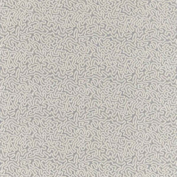 Maze Coral 332973 Maze Coral 332973