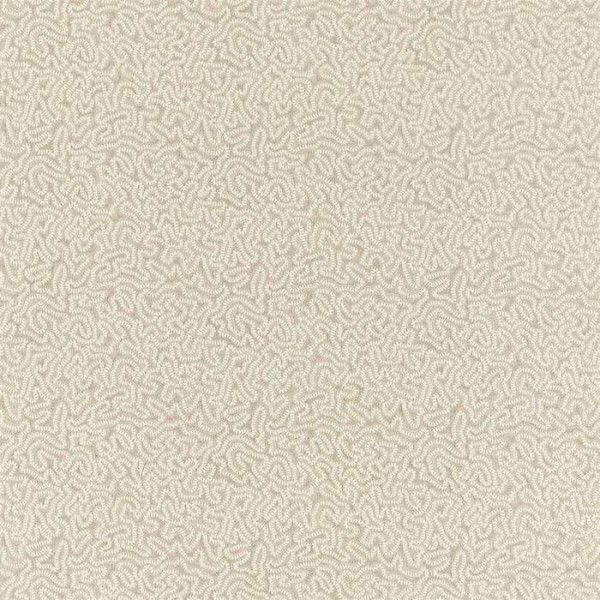 Maze Coral 332975 Maze Coral 332975