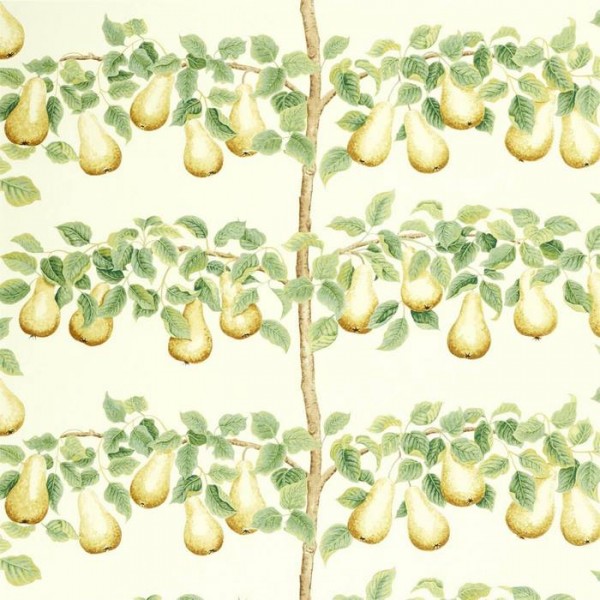 Perry Pears 226735 Perry Pears 226735