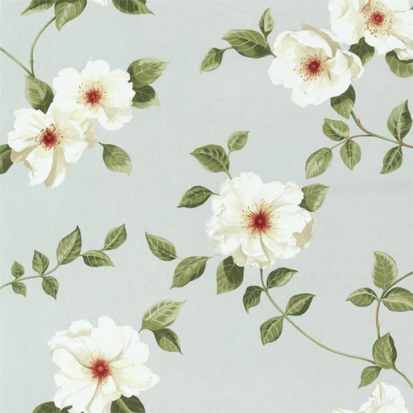 Poets Rose 226737 Poets Rose 226737
