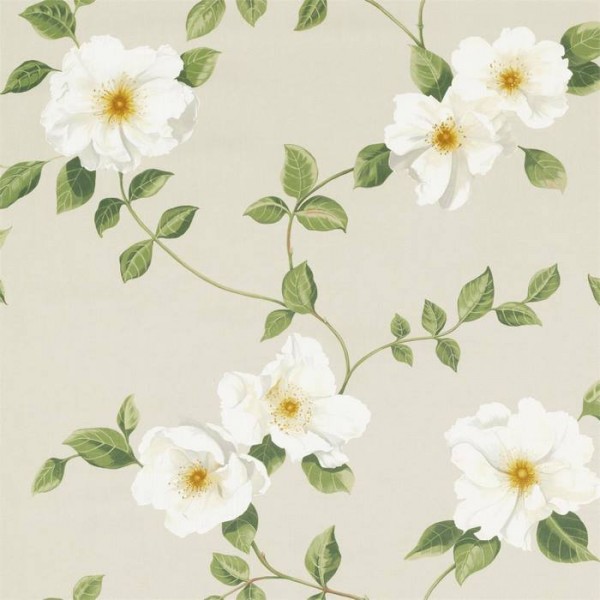 Poets Rose 226738 Poets Rose 226738