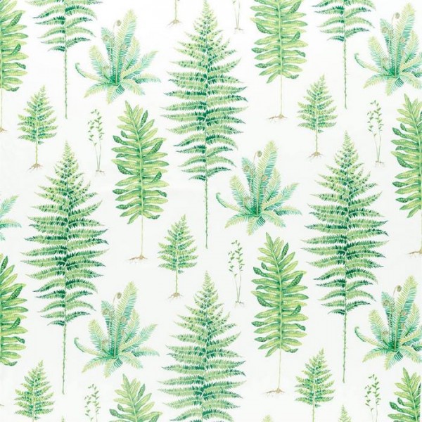 Fernery 226579 Fernery 226579