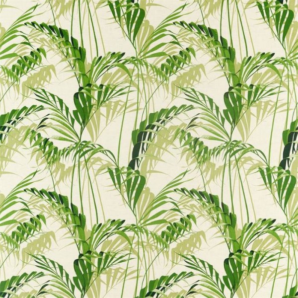 Palm House 226567 Palm House 226567