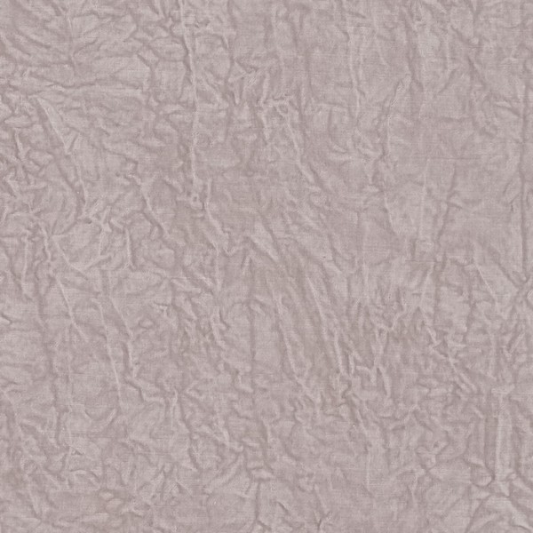 Abelia Blush F1434-01 Abelia Blush F1434-01