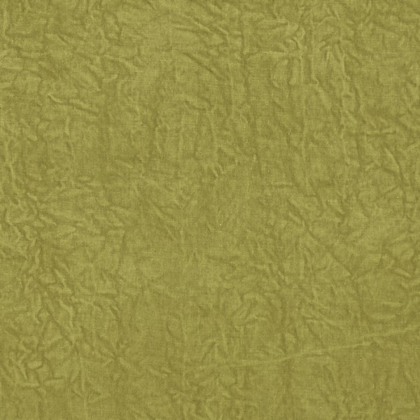 Abelia Chartreuse F1434-02 Abelia Chartreuse F1434-02
