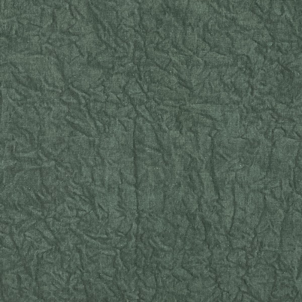 Abelia Emerald F1434-04 Abelia Emerald F1434-04