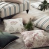 Abelia Blush F1434-01