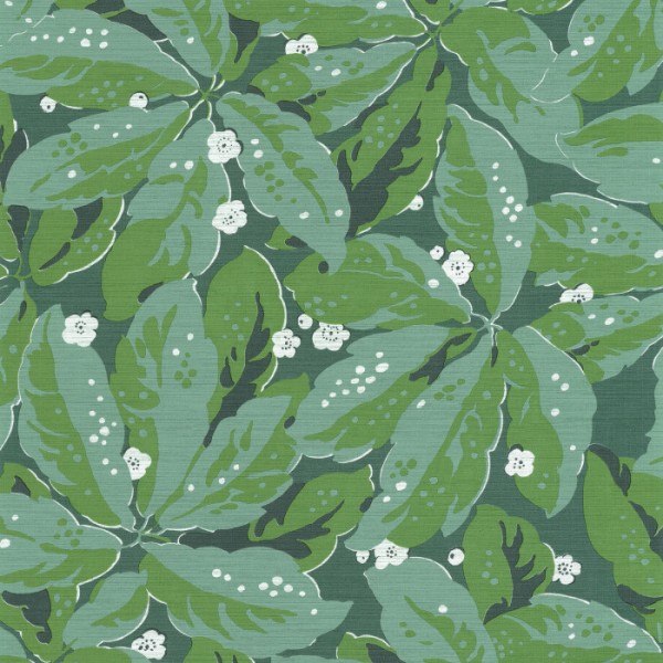 Five O'Clock Greenery 85797156 Five O'Clock Greenery 85797156