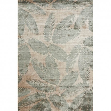 AMBROSIA LEAF AMBROSIA LEAF