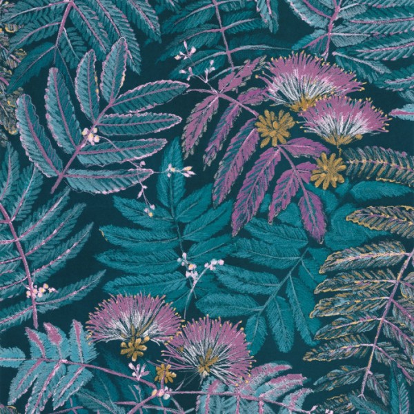 Albizia 85896164 Albizia 85896164