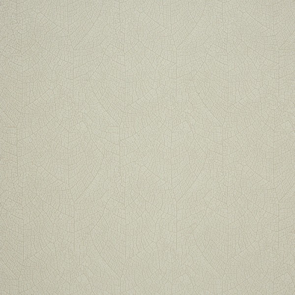Nervure 26210113