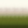 Shady Field DG2SHA103