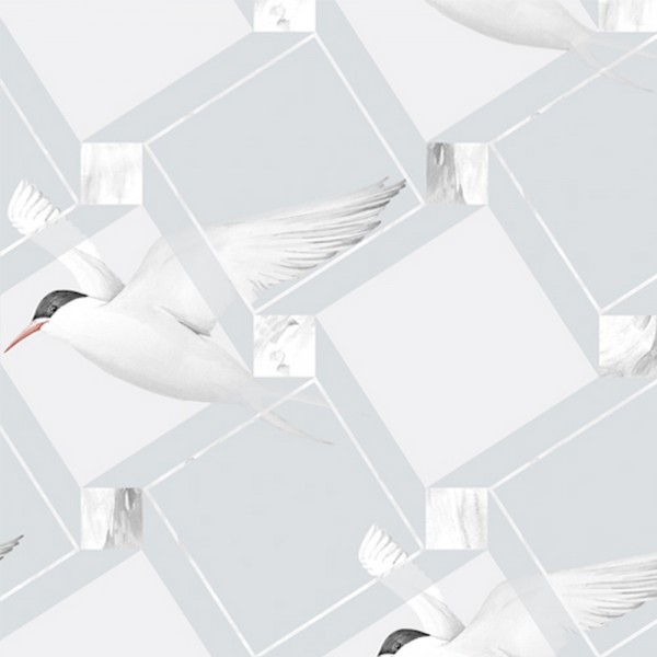 Bird Illusion Bird Illusion