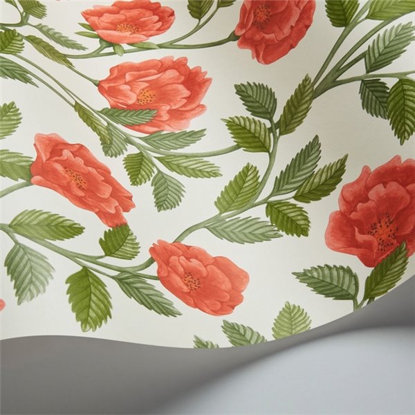 Hampton Roses 118-7013