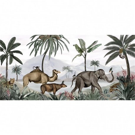 Wild India DOM509 Wild India DOM509