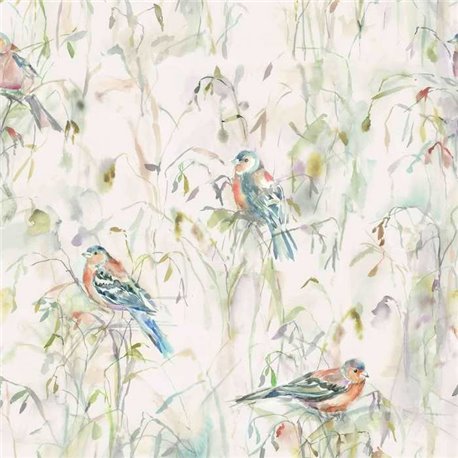 Chaffinch Cream Chaffinch Cream