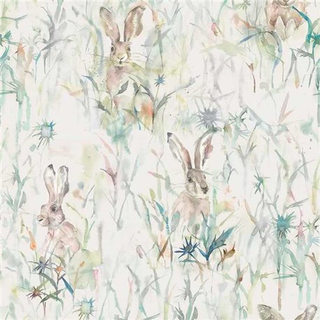Jack Rabbit Cream Jack Rabbit Cream