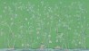 portobello Standard on Emerald Green India Tea paper