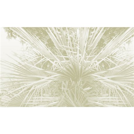 Palme - B8902 Palme - B8902