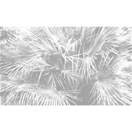 Palmeto - B9102 Palmeto - B9102