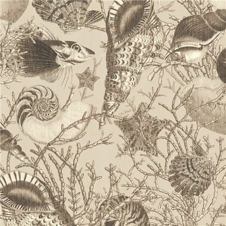 Conchiglie - C1203