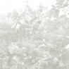 Limonaia - B8802
