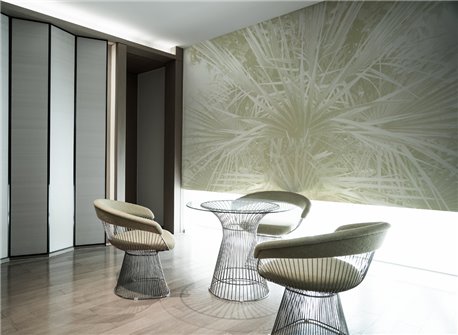 Palme - B8901