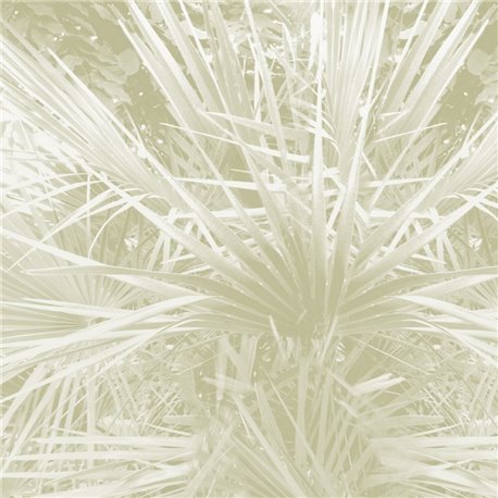 Palme - B8902