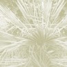 Palme - B8902