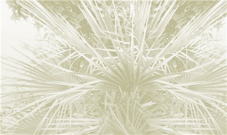 Palme - B8902