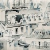 Tetti parigi - B9802
