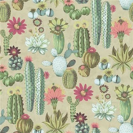Cacti 3091101 Cacti 3091101