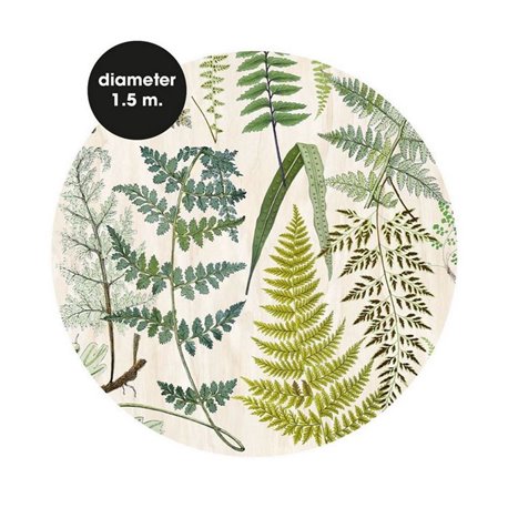 Herbarium 309116 Herbarium 309116