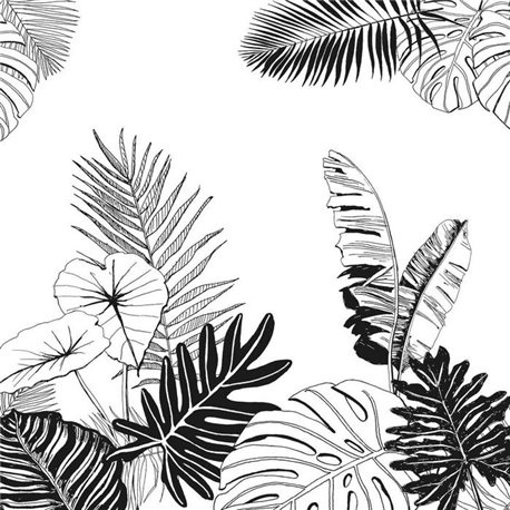 Jungle 309137 Jungle 309137