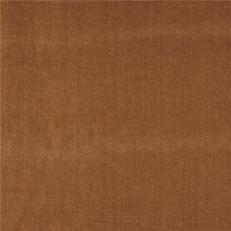 Zen Ginger 8200004 Zen Ginger 8200004