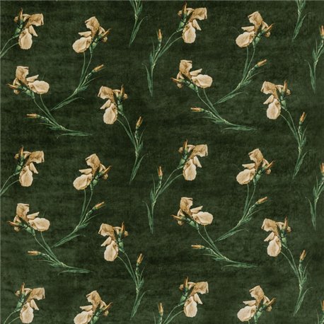 Baker Iris Emerald BP108192 Baker Iris Emerald BP108192